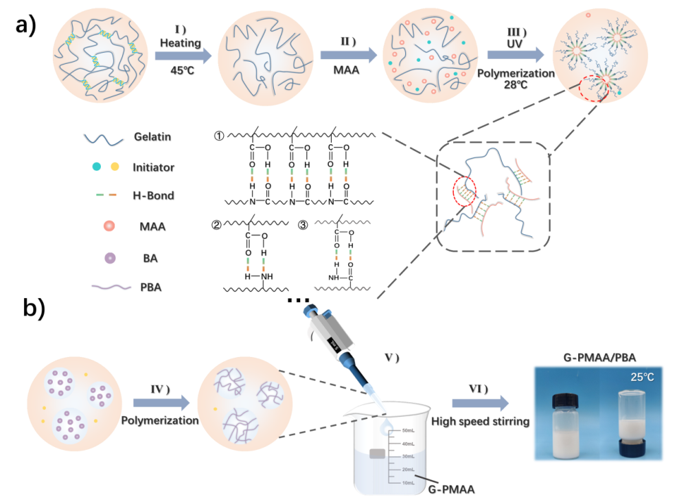 陜西科技大學(xué)生物質(zhì)與功能材料研究所：用于造紙表面施膠的明膠基超分子涂層的圖1