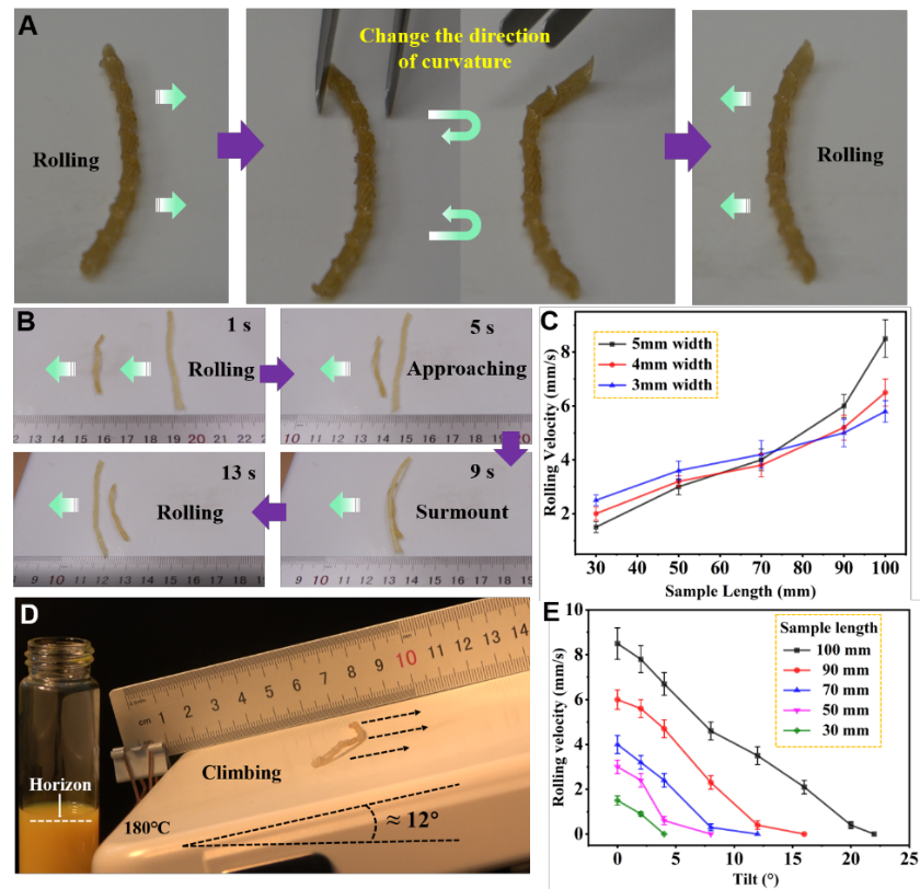 天津大学封伟教授课题组《Matter》：4D打印仿生触觉应变自主软体机器人的图4