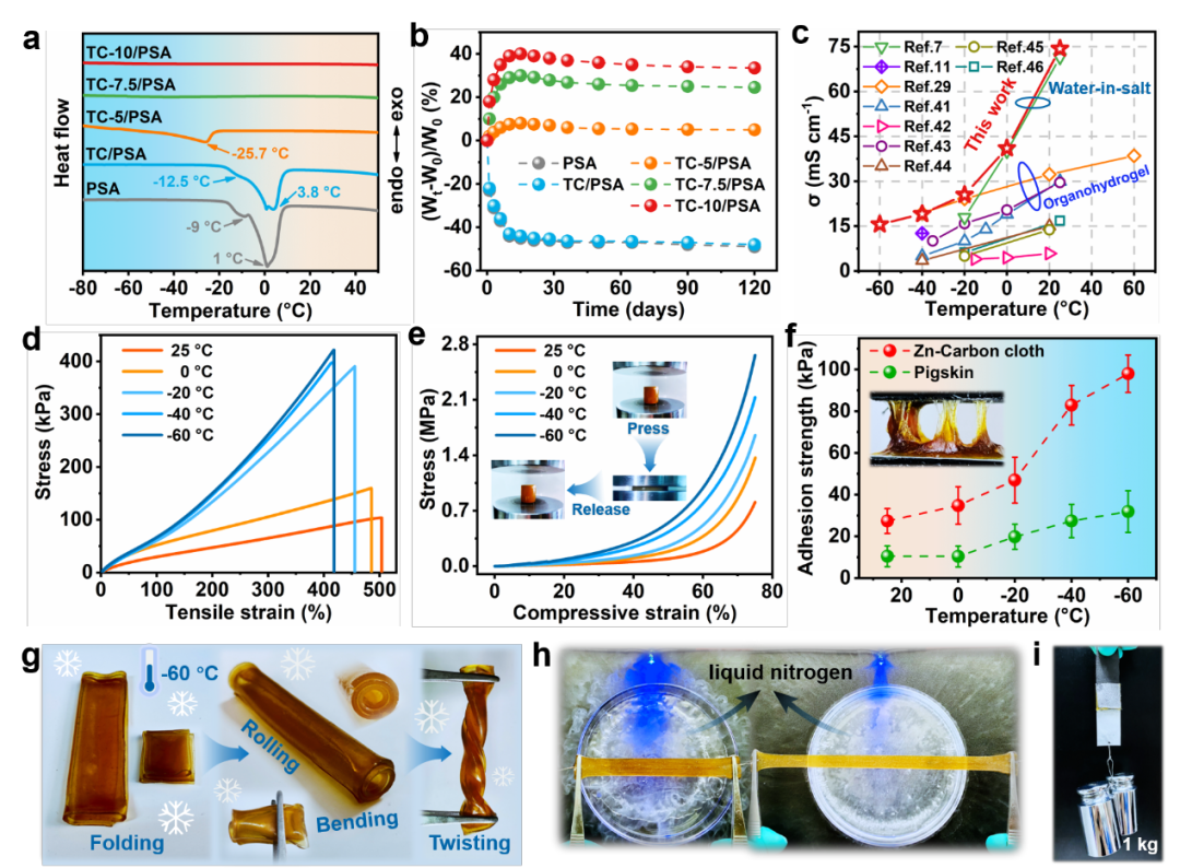 北京林業(yè)大學(xué)楊俊團隊《ACS Nano》：自催化納米纖維素增強體系構(gòu)建新型“鹽包水”聚兩性離子水凝膠電解質(zhì)的圖5