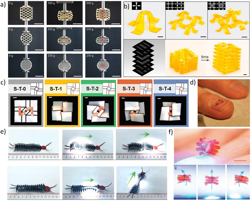 北京理工大學方岱寧院士、李營教授團隊Adv. Sci.綜述：智能驅動力學先進結構及其構筑原理的最新進展的圖5
