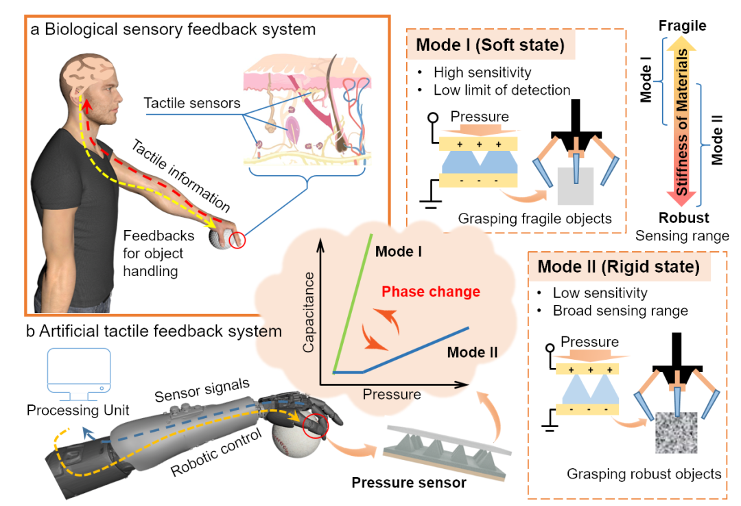 山东大学刘亚庆教授课题组JMCA：用于人工触觉反馈系统的相变凝胶压力传感器的图1