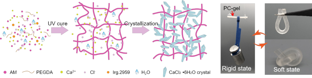 山东大学刘亚庆教授课题组JMCA：用于人工触觉反馈系统的相变凝胶压力传感器的图2