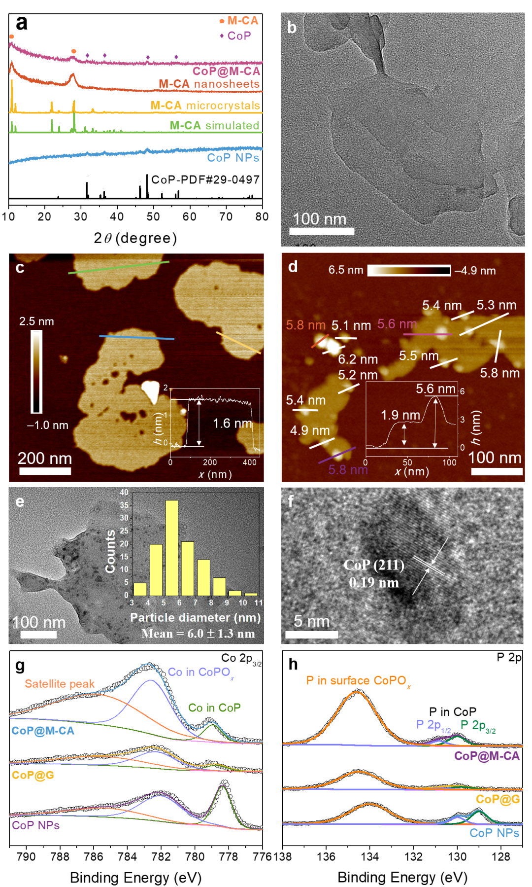 张杰鹏教授团队AM：类石墨烯氢键超分子纳米片用作伪多孔催化剂载体的图2