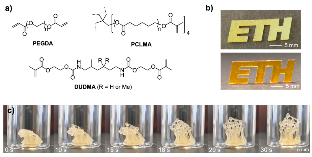 蘇黎世理工Leroux教授與鮑寅寅研究員課題組：利用液態大分子光引發劑實現生物可降解彈性體的無溶劑3D打印的圖3