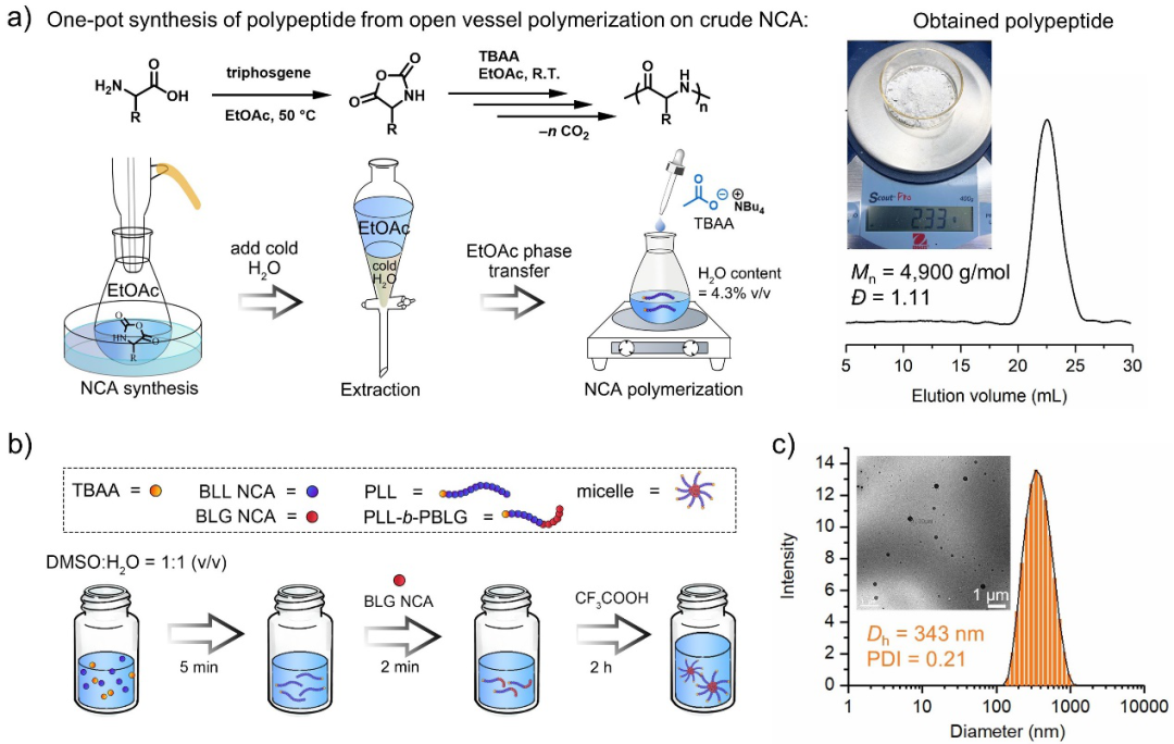 华东理工大学刘润辉教授课题组Angew：羧酸盐作为一类引发剂可实现超快速NCA开环聚合制备多肽聚合物的图4