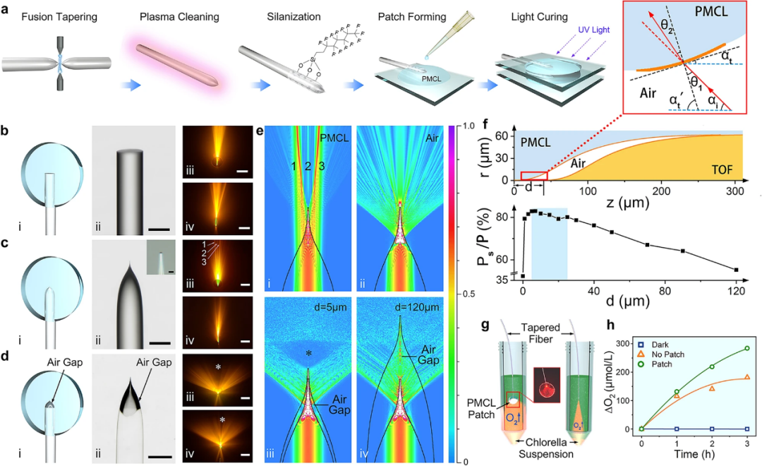 4006B光疗怎么用浙江大学朱旸研究员、张磊教授、高长有教授、周民研究员团队合作 Nat. Commun.： 可生物降解的柔性导光贴片用于体内光疗_https://www.jmylbn.com_新闻资讯_第5张