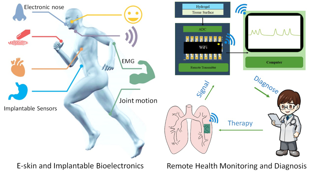 中山大学付俊教授团队JMCB封面综述：组织粘附型水凝胶生物电子学的图4