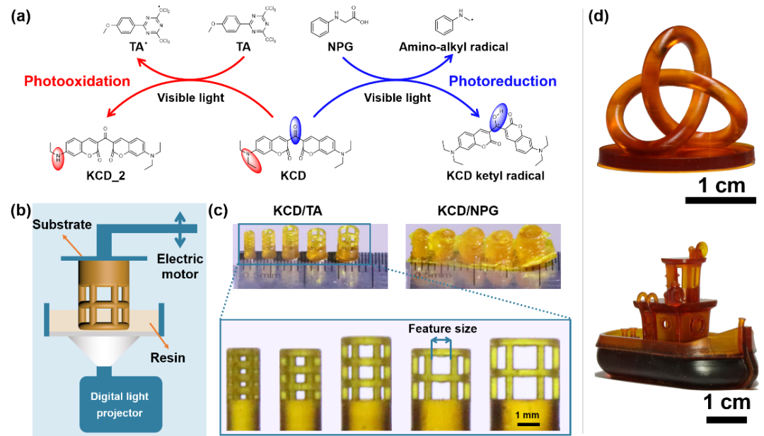华中科技大学解孝林、彭海炎团队《Nat. Commun.》：在光聚合领域取得最新研究成果的图1