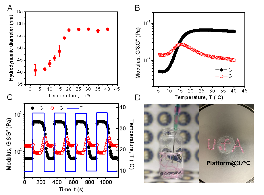 加拿大阿爾伯塔大學曾宏波教授課題組 《ACS Nano》：生物環境自適應性超分子組裝的可注射自愈合水凝膠用于胃穿孔修復的圖2