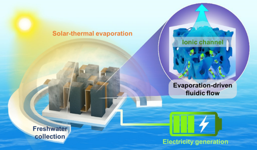 上海交大邓涛/陶鹏团队《Nano Energy》：可同时进行高通量太阳能光热净水和发电的聚合物海绵蒸发器的图1