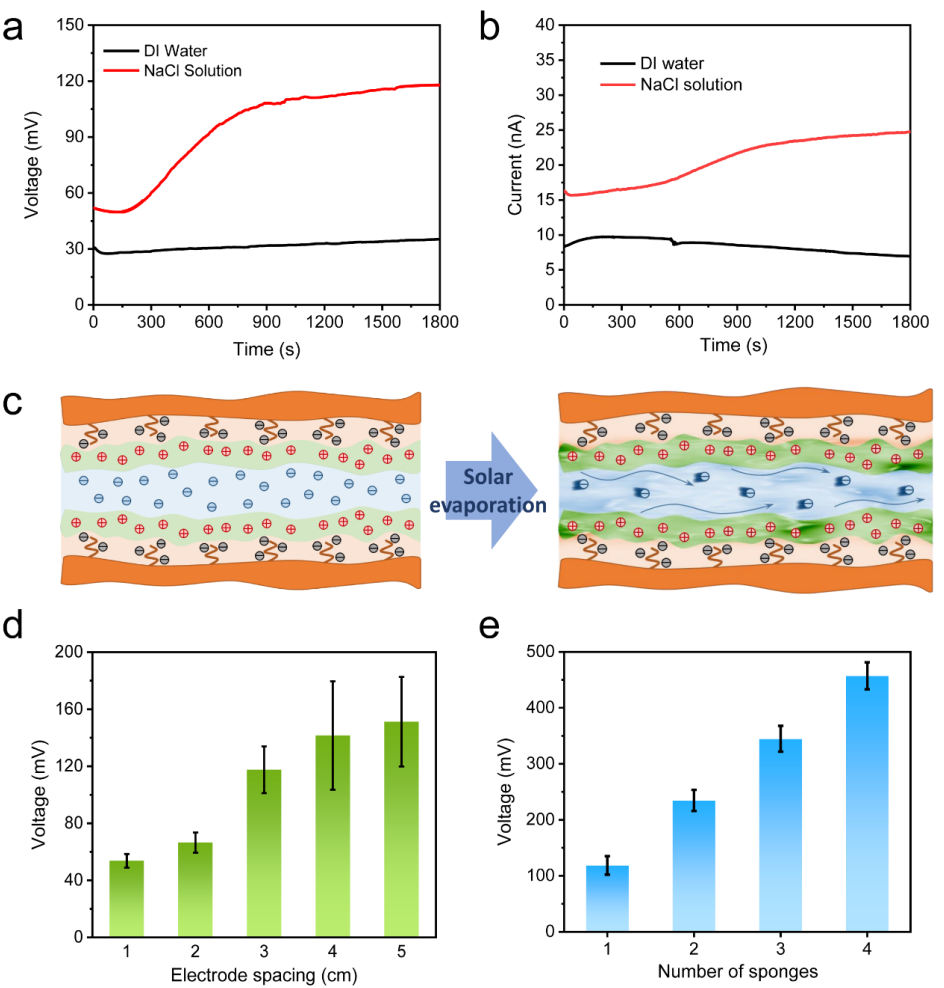 上海交大邓涛/陶鹏团队《Nano Energy》：可同时进行高通量太阳能光热净水和发电的聚合物海绵蒸发器的图5