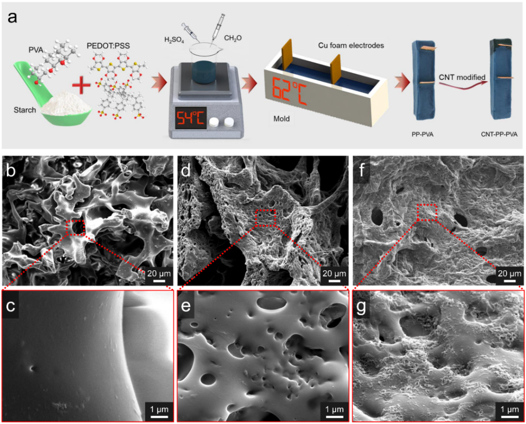 上海交大邓涛/陶鹏团队《Nano Energy》：可同时进行高通量太阳能光热净水和发电的聚合物海绵蒸发器的图2