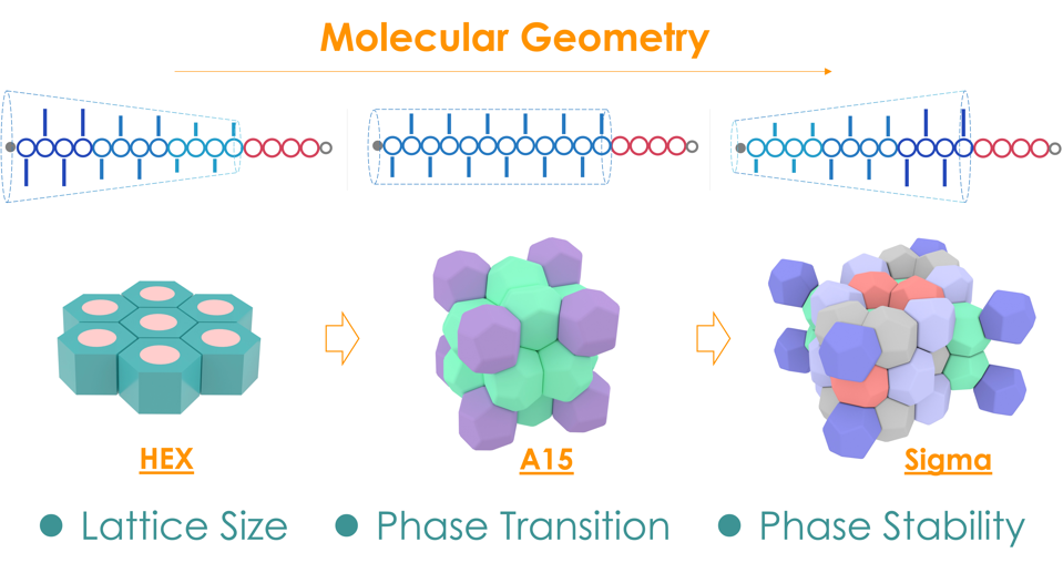 华南理工大学董学会教授团队JACS: 具有精确形状的离散型聚合物的图1
