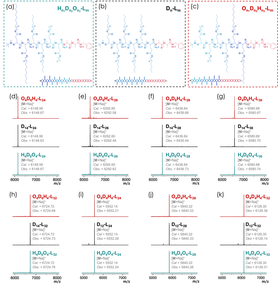 华南理工大学董学会教授团队JACS: 具有精确形状的离散型聚合物的图3