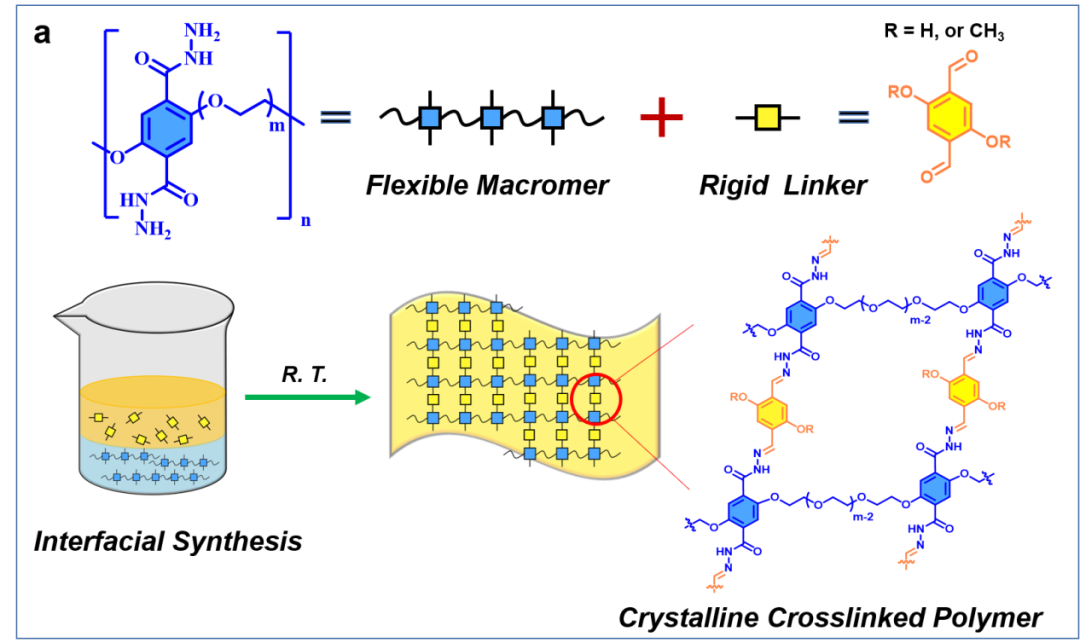 南開大學張振杰課題組 Angew：一類剛柔并濟晶態交聯聚合物用作蒸氣制動器的圖1