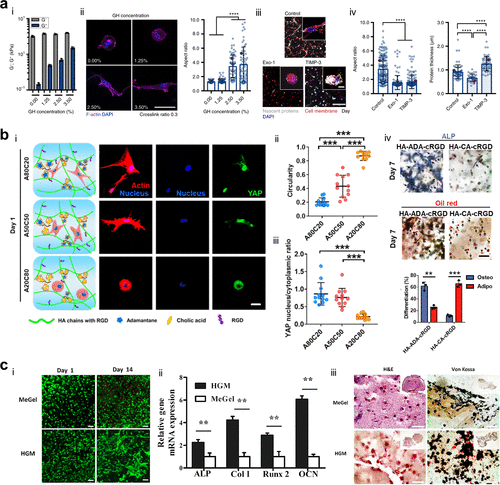 华南理工边黎明教授团队《Chem. Rev.》综述：结构动态水凝胶及其生物医学应用 – 追求宏观稳定性与微观动态性之间的良好平衡的图4