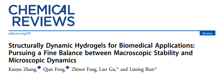 华南理工边黎明教授团队《Chem. Rev.》综述：结构动态水凝胶及其生物医学应用 – 追求宏观稳定性与微观动态性之间的良好平衡的图2