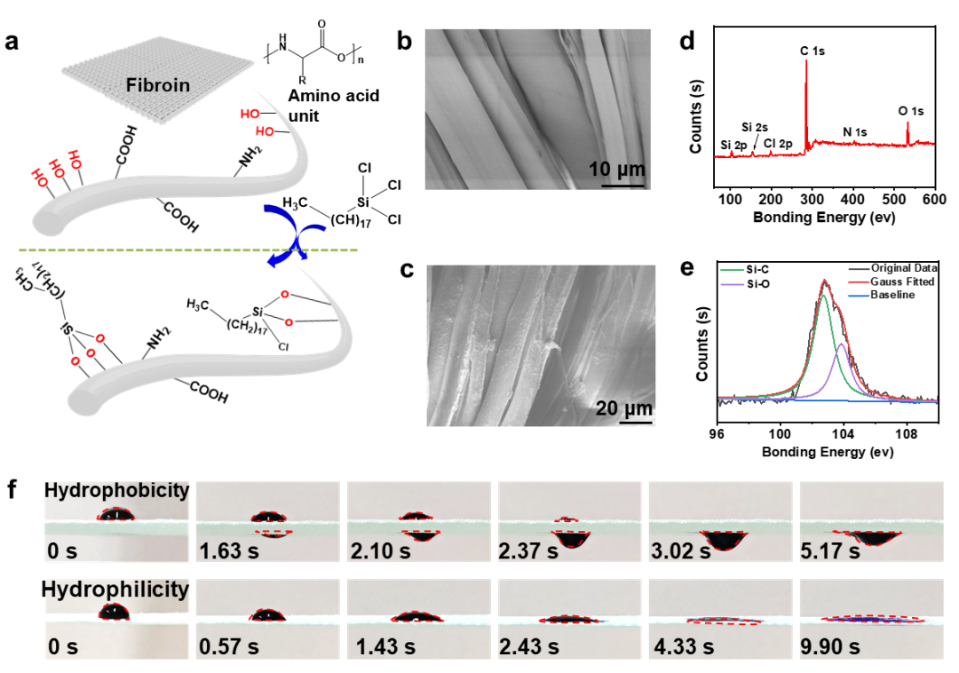 深圳大学许太林/张学记教授团队《Nano Lett.》：具有高度湿热舒适性的仿生Janus蚕丝电子织物用于高效汗液传感的图1