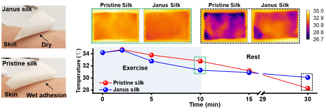 深圳大学许太林/张学记教授团队《Nano Lett.》：具有高度湿热舒适性的仿生Janus蚕丝电子织物用于高效汗液传感的图2