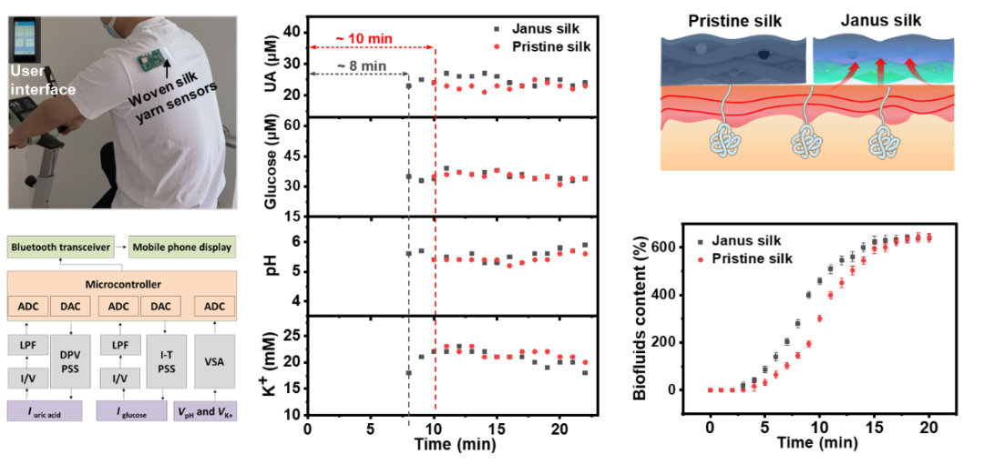 深圳大学许太林/张学记教授团队《Nano Lett.》：具有高度湿热舒适性的仿生Janus蚕丝电子织物用于高效汗液传感的图3