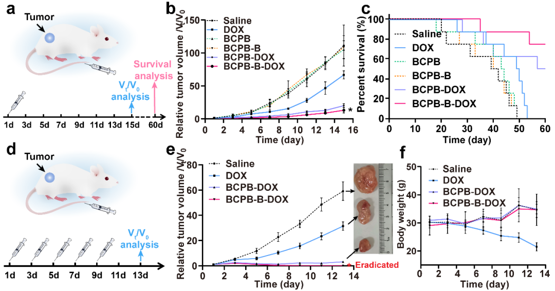 南京大学蒋锡群/武伟团队JACS：苯硼酸修饰可显著增强蠕虫状聚合物分子刷前药的溶酶体逃逸和抗肿瘤性能的图5