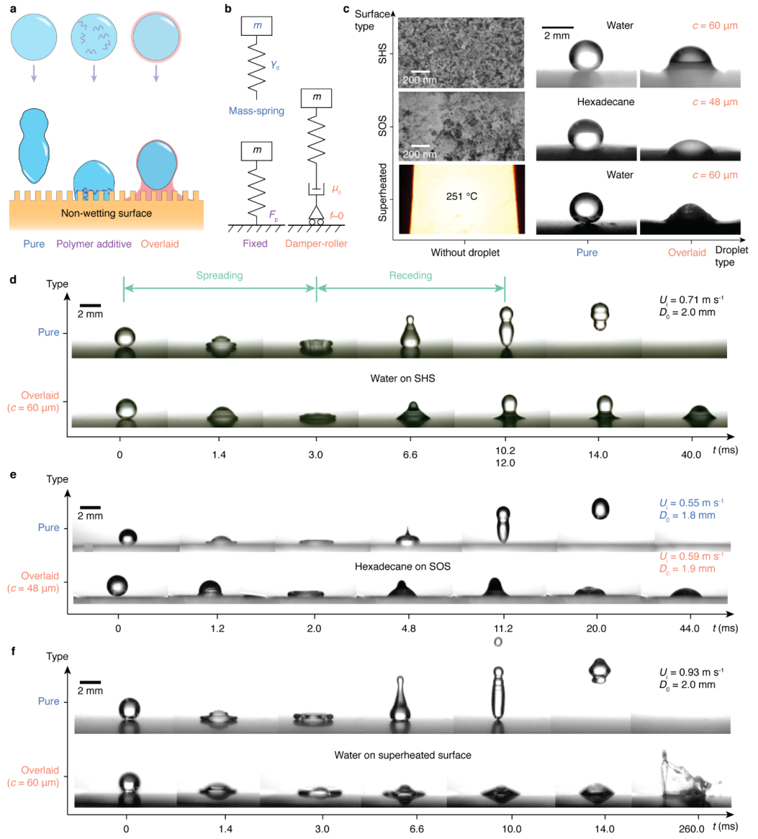 香港大学王立秋讲座教授团队《Nat. Commun.》：在液滴输送领域取得新进展的图1