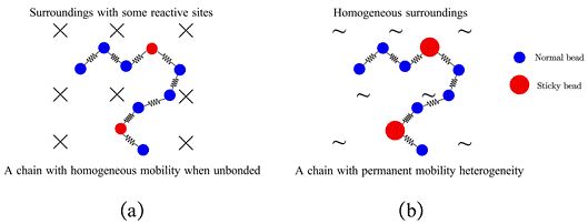 复旦大学唐萍课题组近期研究进展：缔合高分子的线性粘弹性--分子理论与模拟的图1