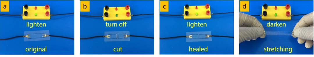华南理工大学王涛/孙尉翔/童真团队在pH响应聚电解质水凝胶领域取得新进展的图10