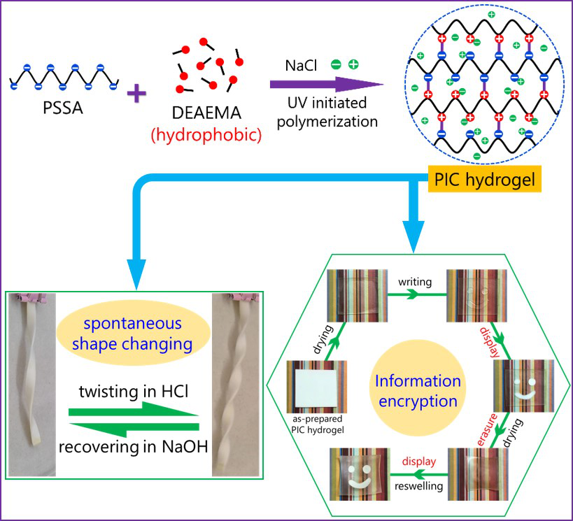 华南理工大学王涛/孙尉翔/童真团队在pH响应聚电解质水凝胶领域取得新进展的图2