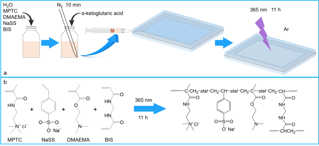 华南理工大学王涛/孙尉翔/童真团队在pH响应聚电解质水凝胶领域取得新进展的图3