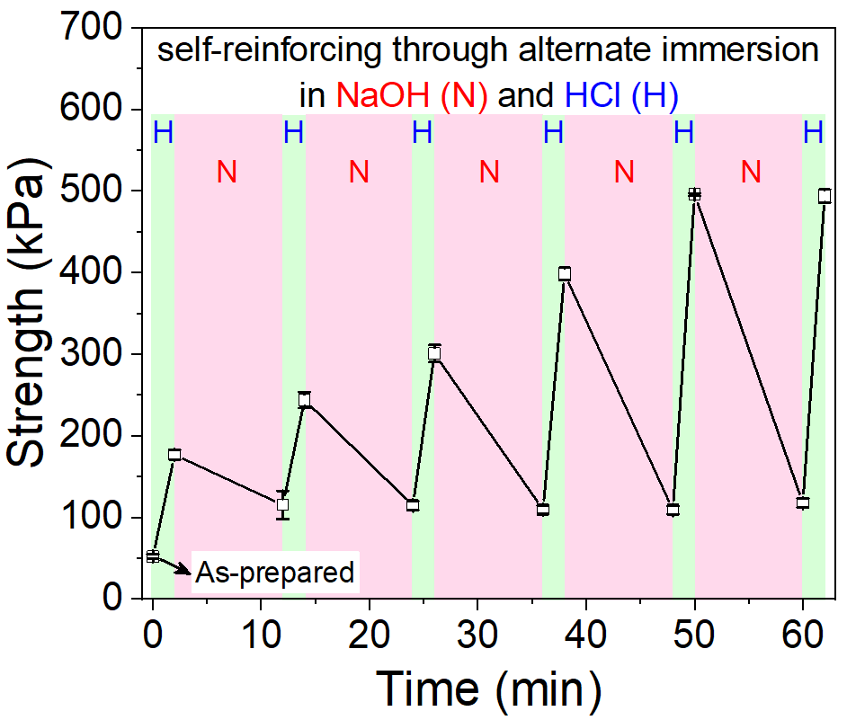 华南理工大学王涛/孙尉翔/童真团队在pH响应聚电解质水凝胶领域取得新进展的图7