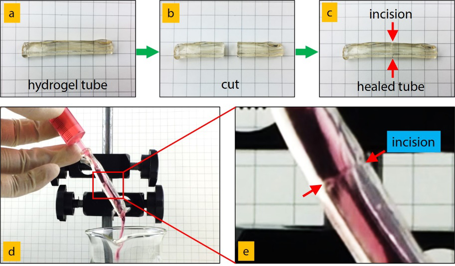 华南理工大学王涛/孙尉翔/童真团队在pH响应聚电解质水凝胶领域取得新进展的图9