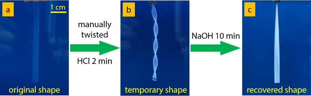 华南理工大学王涛/孙尉翔/童真团队在pH响应聚电解质水凝胶领域取得新进展的图4