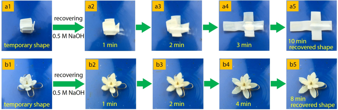 华南理工大学王涛/孙尉翔/童真团队在pH响应聚电解质水凝胶领域取得新进展的图6