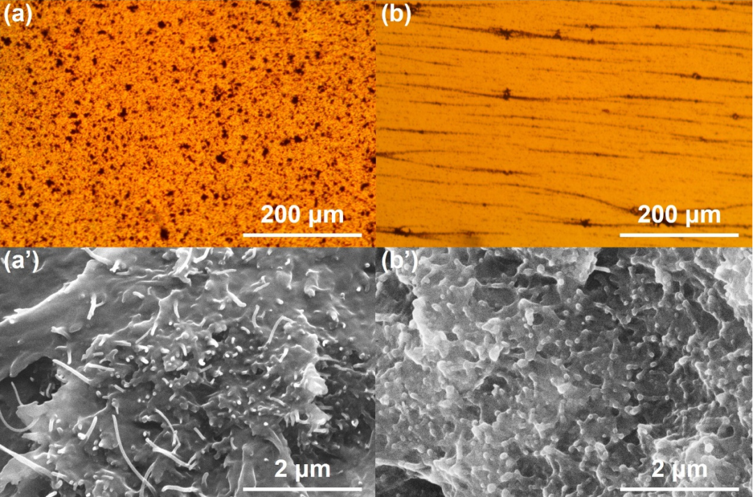 液晶聚酰亚胺导热复合膜的图4