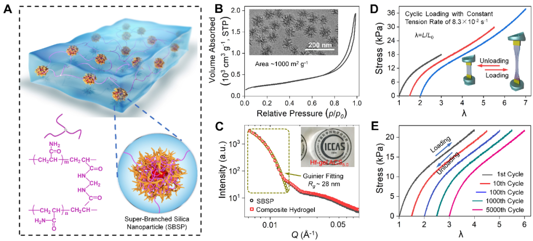 中科院化学所邱东研究员团队 Adv. Mater.: 低回滞纳米复合水凝胶材料的图1
