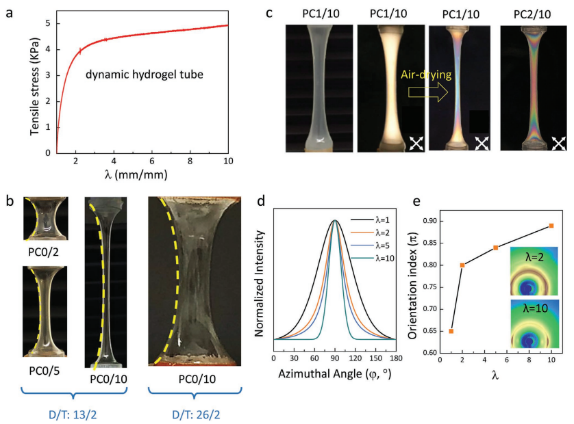 哥廷根大学张凯教授课题组《Small》：兼具可调结构色和力学性能的三维中空结构材料的图2