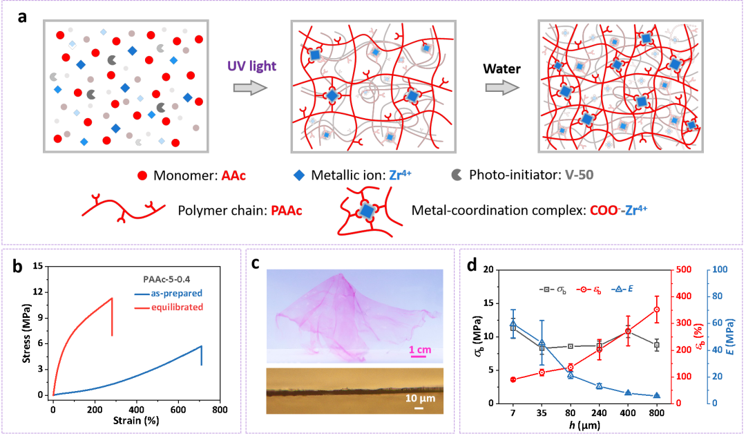 浙江大学郑强、吴子良团队Small: 基于羧酸-锆配位键快速制备高强度水凝胶薄膜的图1
