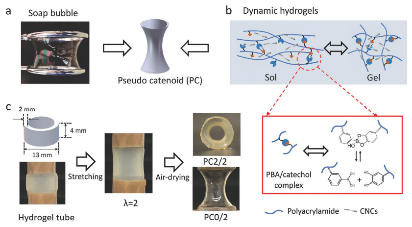 哥廷根大学张凯教授课题组《Small》：兼具可调结构色和力学性能的三维中空结构材料的图1