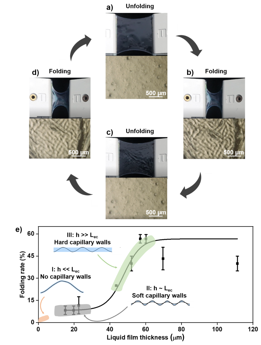 烟台大学刘洪亮教授课题组《Adv. Sci.》:具有面内可逆折叠-伸展性能的柔性导电薄膜的图2