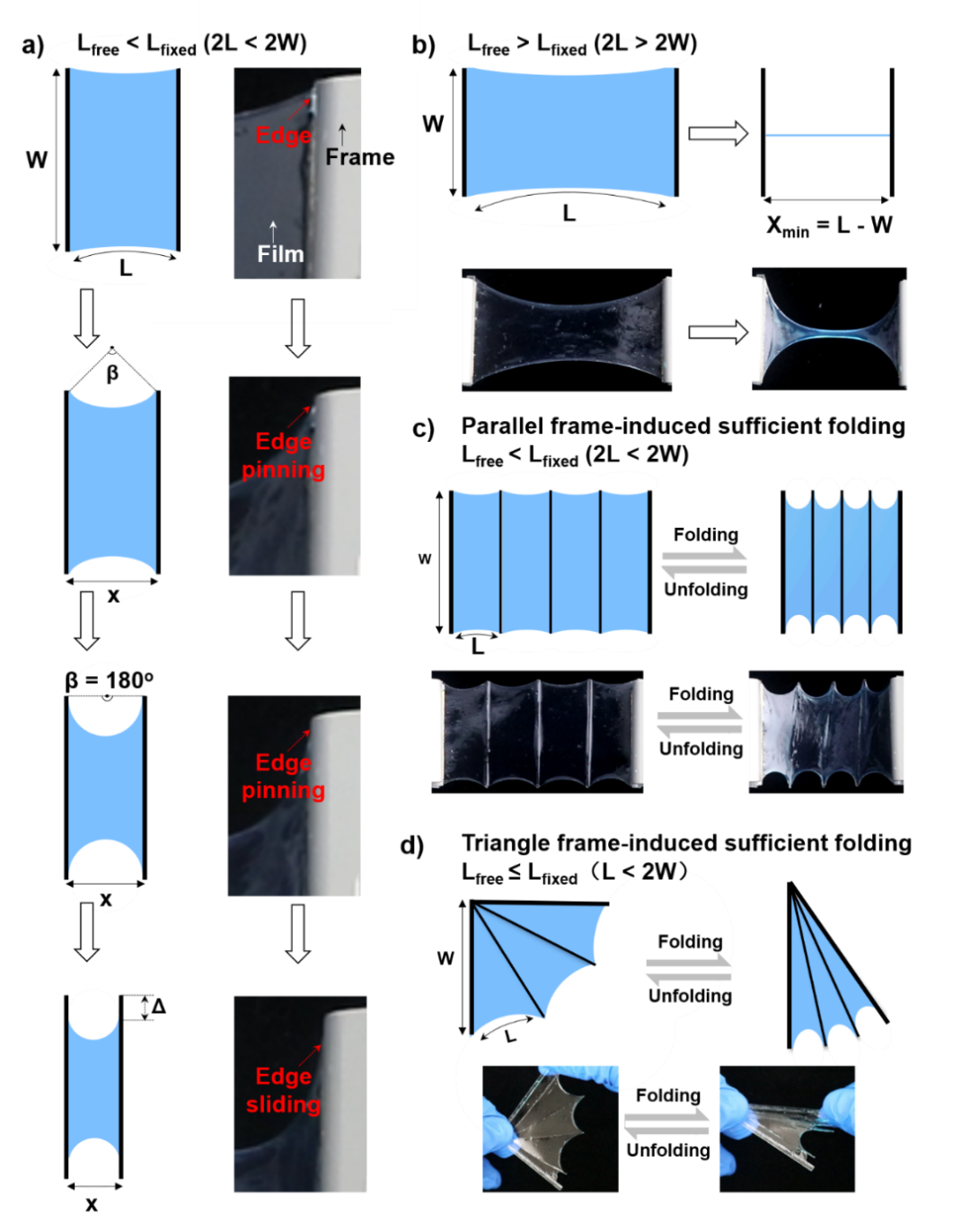 烟台大学刘洪亮教授课题组《Adv. Sci.》:具有面内可逆折叠-伸展性能的柔性导电薄膜的图3