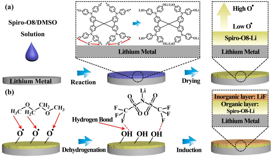华南理工大学李远与熊训辉合作Angew：芳香化硝酸自由基Spiro-O8有效构筑保护层提升锂金属负极性能的图4