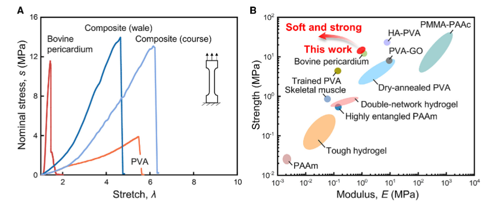 仿心臟瓣膜的柔軟抗疲勞水凝膠 - 2500萬次超高疲勞壽命