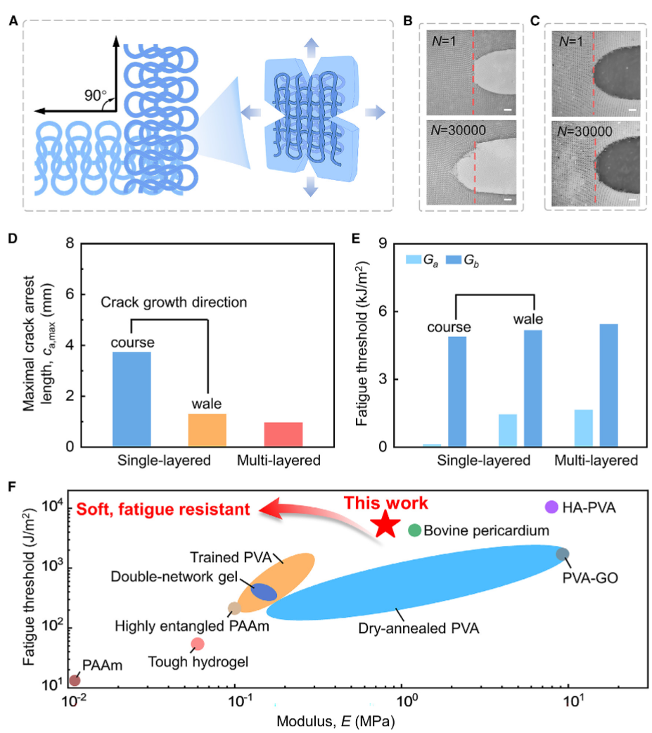 仿心臟瓣膜的柔軟抗疲勞水凝膠 - 2500萬次超高疲勞壽命