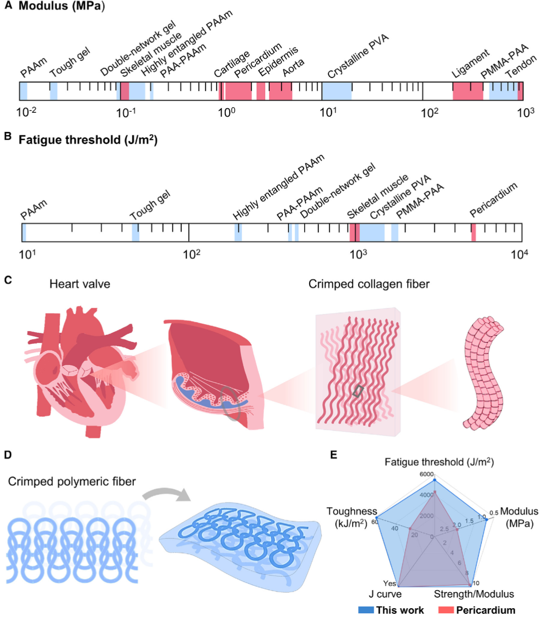 仿心臟瓣膜的柔軟抗疲勞水凝膠 - 2500萬次超高疲勞壽命
