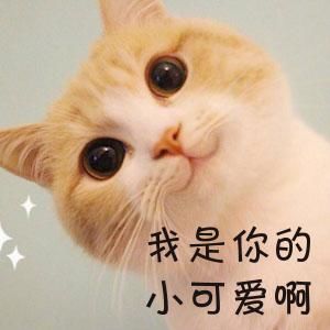 万万没想到，这类基金也能爆赚35%！