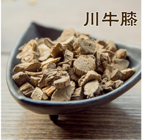 奇妙的中药名（上）