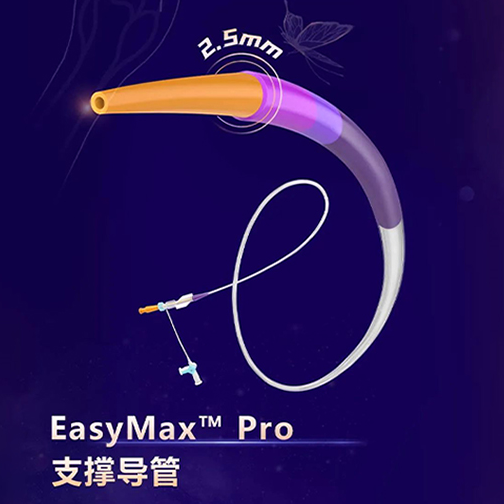 动脉长鞘怎么置入桡路大腔，超薄无伤 ｜ EasyMax™ Pro长鞘经桡入路辅助行颈内动脉支架植入术_https://www.jmylbn.com_新闻资讯_第23张