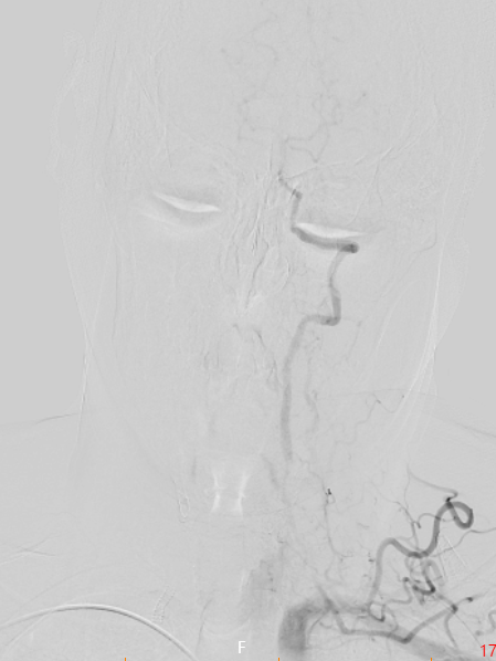 image15.png