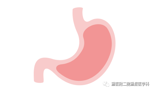 医疗监测性管道有哪些【重症科普你我他】之浅识ICU常见管道_https://www.jmylbn.com_新闻资讯_第26张